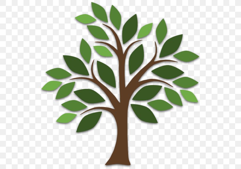 Tree Drawing Wall Decal Clip Art, PNG, 557x576px, Tree, Arborist, Branch, Drawing, Leaf Download Free