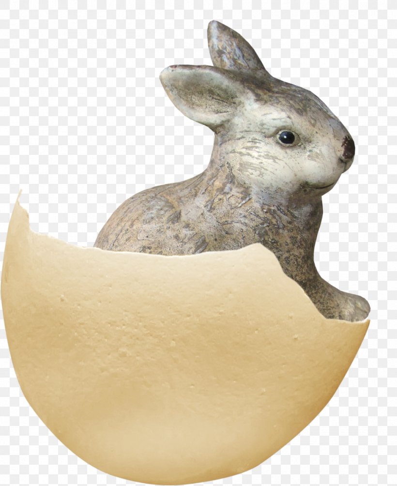 Domestic Rabbit Eggshell, PNG, 964x1181px, Domestic Rabbit, Egg, Eggshell, Fauna, Gratis Download Free