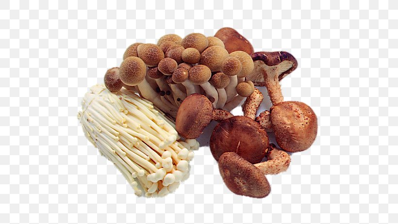 Edible Mushroom Fried Rice Sichuan Cuisine Cooking, PNG, 600x462px, Mushroom, Cooking, Cream Of Mushroom Soup, Eating, Edible Mushroom Download Free