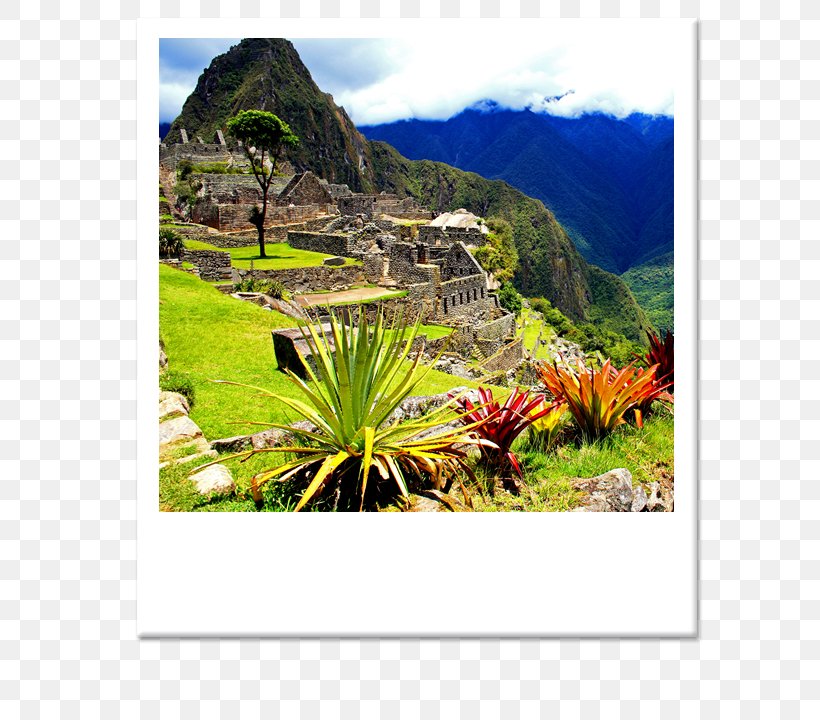 Inca Trail To Machu Picchu Sacred Valley Choquequirao Inca Empire, PNG, 630x720px, Machu Picchu, Accommodation, Botanical Garden, Choquequirao, Cusco Download Free