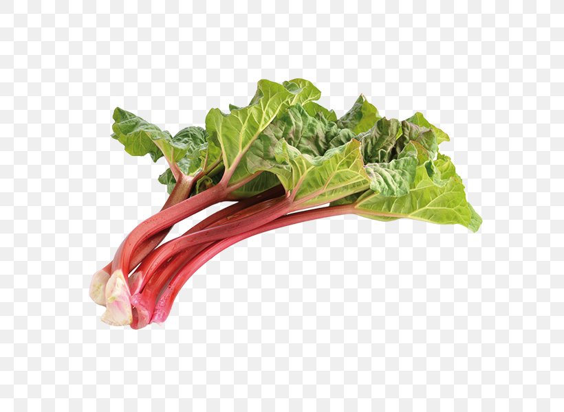 Garden Rhubarb Rhubarb Pie Rhubarb Triangle Vegetable Food, PNG, 600x600px, Garden Rhubarb, Chard, Collard Greens, Food, Fruit Download Free