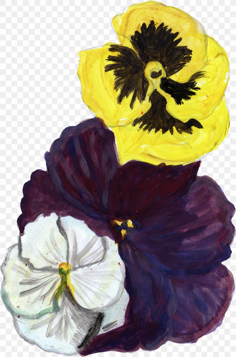 Hawaii Flower Clip Art, PNG, 1269x1917px, Hawaii, Display Resolution, Flower, Flowering Plant, Pansy Download Free