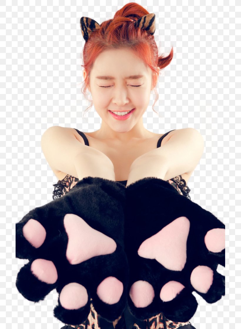Lee Areum T-ara South Korea Jewelry Box K-pop, PNG, 713x1120px, Watercolor, Cartoon, Flower, Frame, Heart Download Free