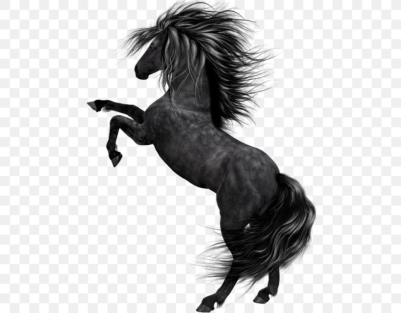 Black Mustang Pony Stallion Clip Art, PNG, 496x640px, Black, American Paint Horse, Art, Blackandwhite, Drawing Download Free