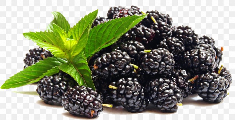 Blackberry Juice Berries Fruit Composition Of Electronic Cigarette Aerosol, PNG, 1280x656px, Blackberry, Berries, Berry, Bottle, Boysenberry Download Free