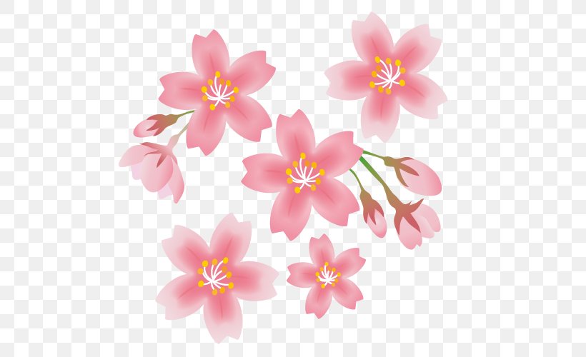 Cherry Blossom Spring Flower, PNG, 500x500px, Cherry Blossom, Anthesis, Blossom, Book Illustration, Color Download Free