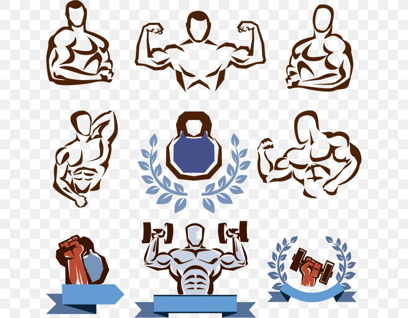 Fitness Centre Physical Fitness Weight Training Clip Art, PNG, 635x639px, Fitness Centre, Area, Artwork, Bench, Bodybuilding Download Free