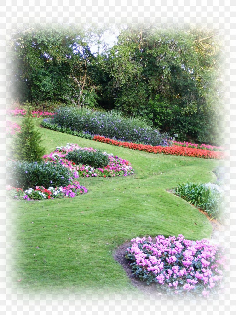 Hedge Landscaping Gardening Sod, PNG, 1200x1600px, Hedge, Annual Plant, Botanical Garden, Flower, Garden Download Free