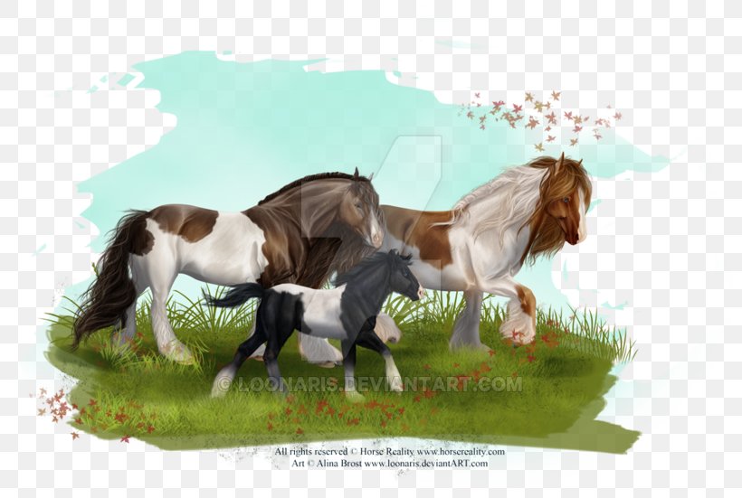 Gypsy Horse Mane Mustang Stallion Mare, PNG, 800x551px, Gypsy Horse, Breed, Equus, Foal, Grass Download Free
