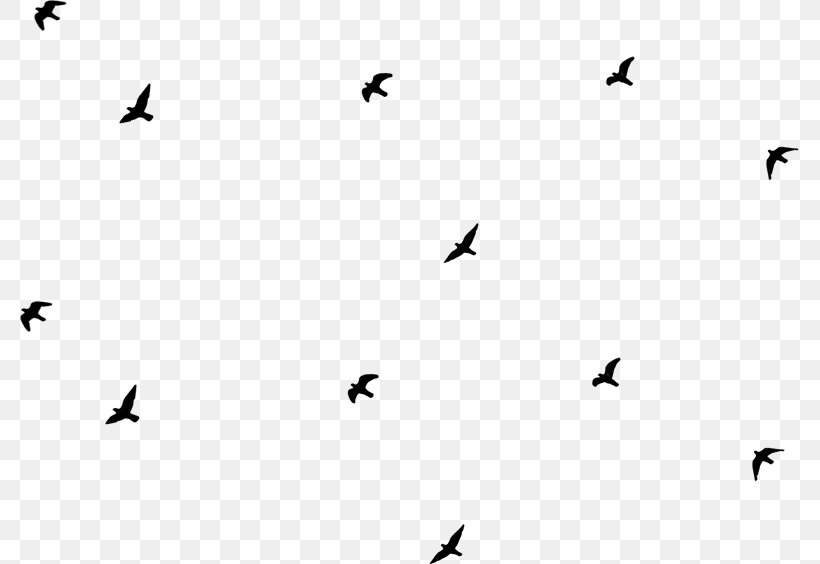 Horoscope Bird Migration Finance Love, PNG, 779x564px, Horoscope, Animal Migration, Beak, Bird, Bird Migration Download Free