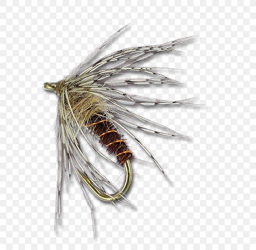 Insect Artificial Fly, PNG, 800x800px, Insect, Artificial Fly, Fishing Bait, Fishing Lure, Invertebrate Download Free