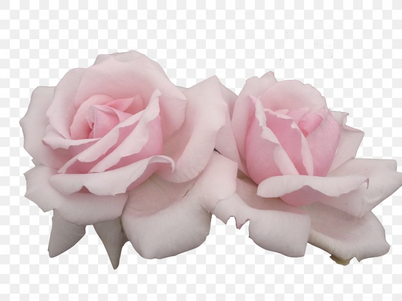 Pink Flowers Pastel Rose, PNG, 1280x960px, Flower, Art, Cut Flowers, Flowering Plant, Garden Roses Download Free