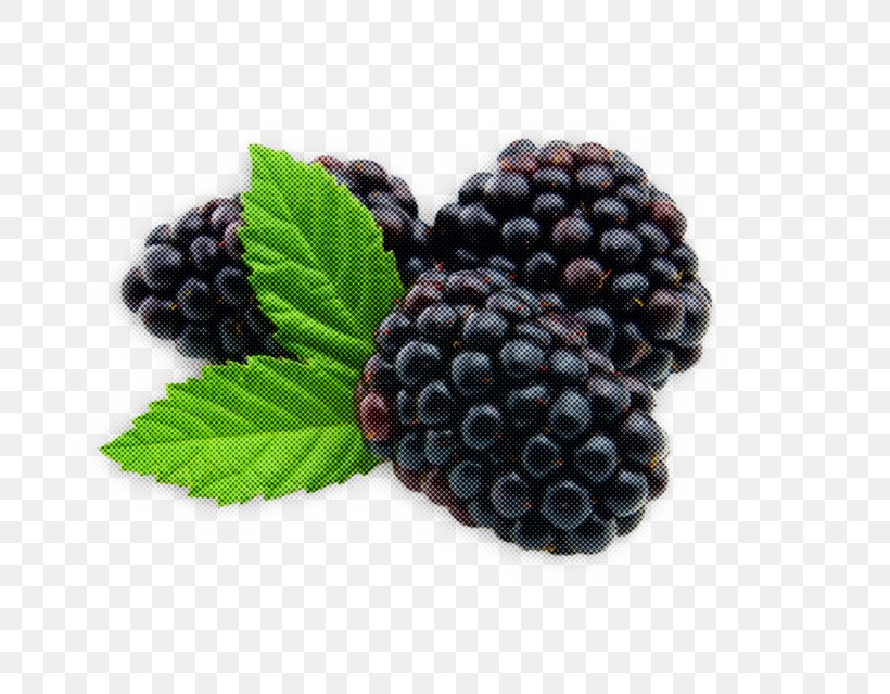 Red Flower, PNG, 683x639px, Blackberry, Accessory Fruit, Berries, Berry, Boysenberry Download Free