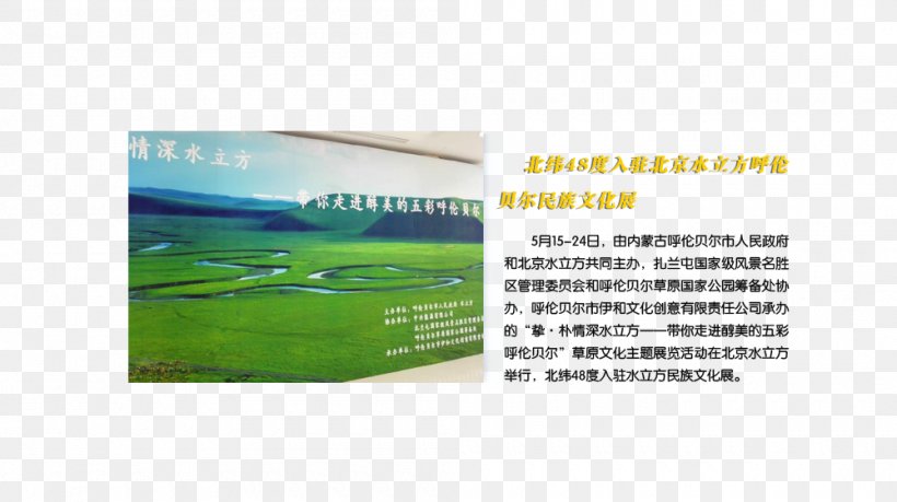 Brand Product 48th Parallel North Latitude Water, PNG, 1000x560px, Brand, Energy, Grass, Green, Health Download Free