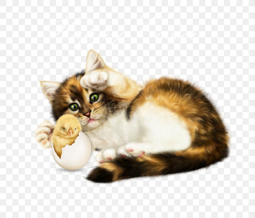 Kitten Whiskers Domestic Short-haired Cat Clip Art, PNG, 700x700px, Kitten, Animal, Black Cat, Blog, Carnivoran Download Free