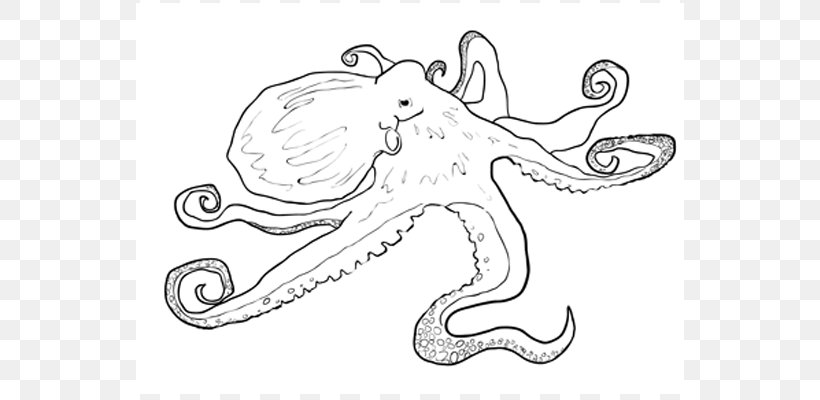 Octopus Drawing Sketchbook Ideas, PNG, 650x400px, Watercolor, Cartoon, Flower, Frame, Heart Download Free
