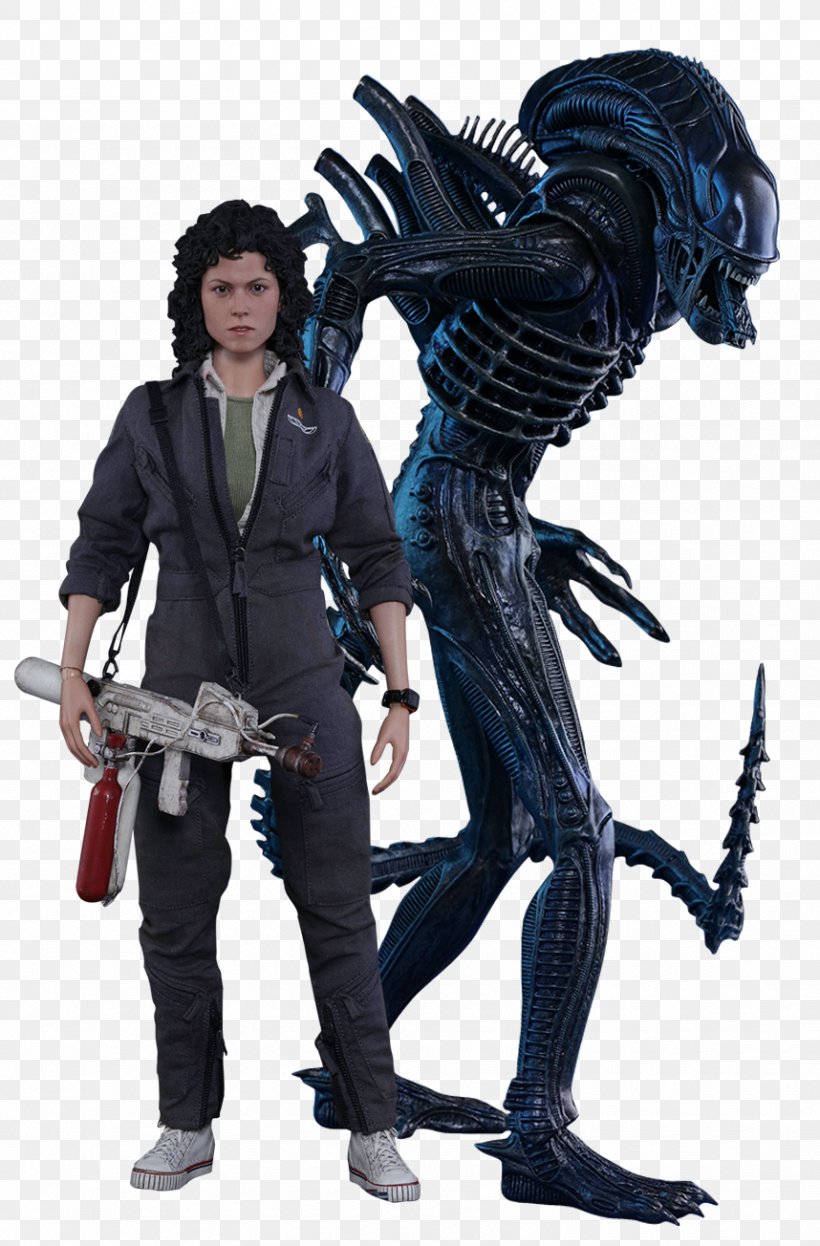 Alien Ellen Ripley Hot Toys Limited 1:6 Scale Modeling Action & Toy Figures, PNG, 858x1304px, 16 Scale Modeling, Alien, Action Figure, Action Toy Figures, Alien Vs Predator Download Free