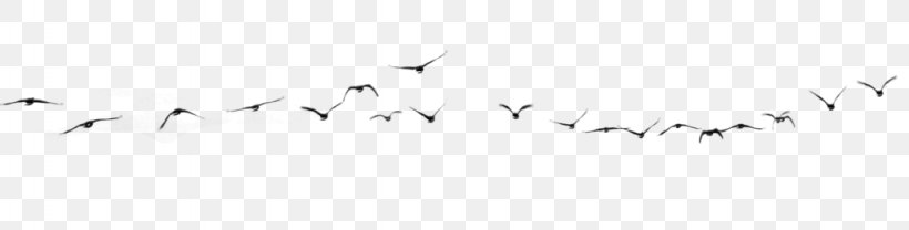 Bird Clip Art, PNG, 1024x260px, Bird, Area, Beak, Black, Black And White Download Free