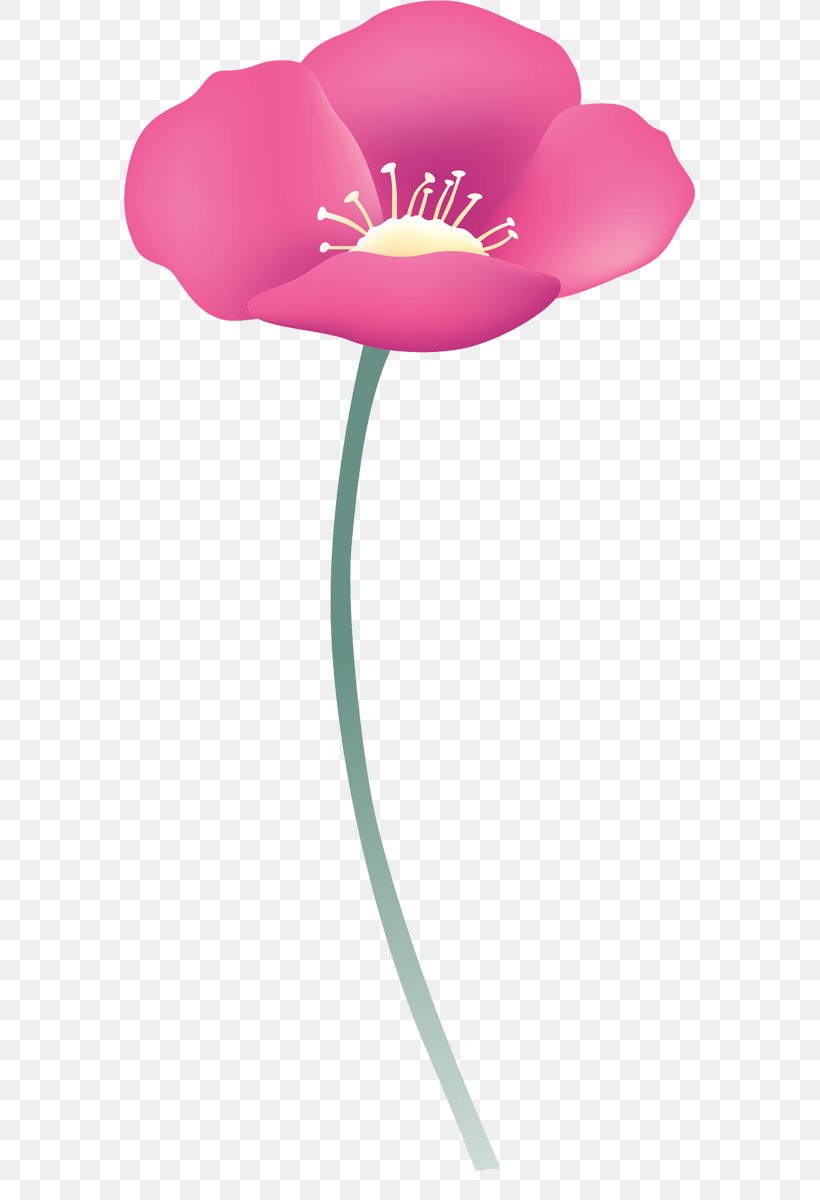 Flower Petal Blume, PNG, 571x1200px, Flower, Blume, Flowering Plant, Magenta, Petal Download Free