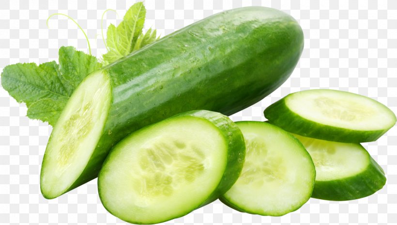 Pickled Cucumber Hamburger Tzatziki Vietnamese Cuisine, PNG, 1500x849px, Pickled Cucumber, Cucumber, Cucumber Extract, Cucumber Gourd And Melon Family, Cucumber Juice Download Free