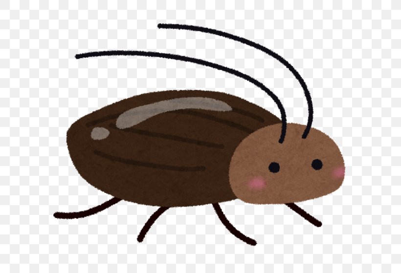 Smokybrown Cockroach Insecticide Termite, PNG, 640x559px, Cockroach, Arthropod, Beetle, Blattodea, Boric Acid Download Free