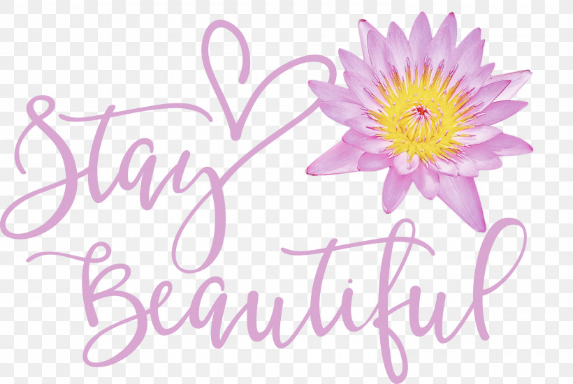 Stay Beautiful Fashion, PNG, 3000x2015px, Stay Beautiful, Cdr, Cricut, Fashion Download Free