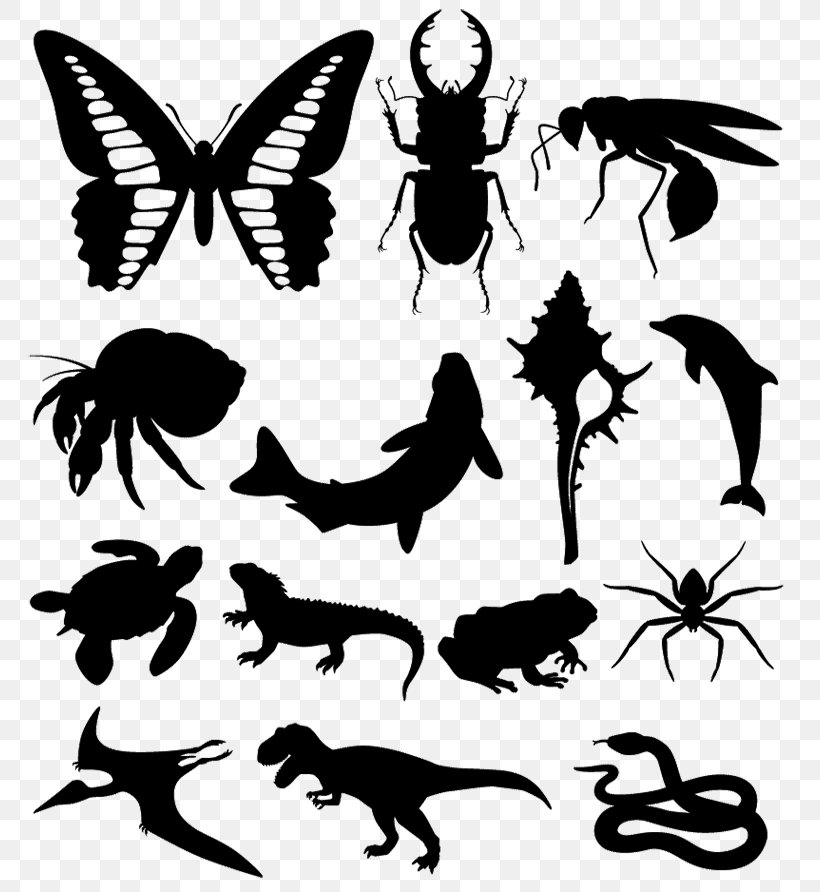 Butterfly Silhouette Insect, PNG, 770x892px, Butterfly, Black And White, Fauna, Fictional Character, Insect Download Free