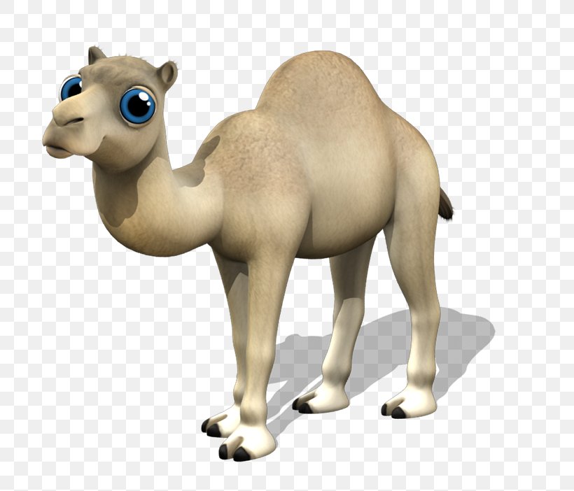 Dromedary Camelids Animation, PNG, 800x702px, Dromedary, Animal, Animal Figure, Animation, Arabian Camel Download Free