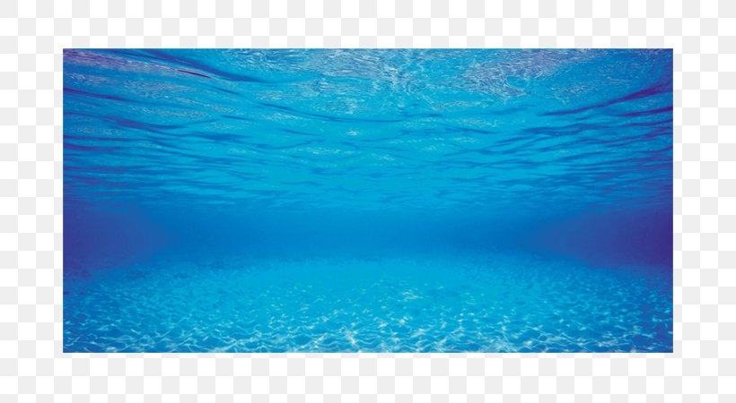 Aquarium Aquascaping Fish Pet VetMedsDirect, PNG, 750x450px, Aquarium, Akvariebutikken, Aqua, Aquascaping, Azure Download Free