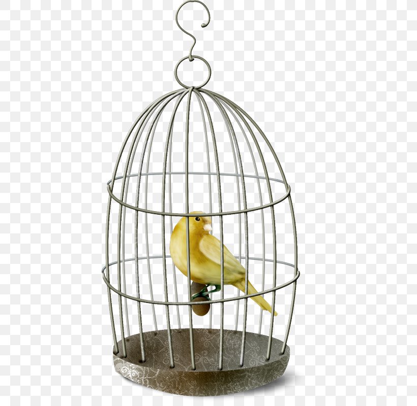 Birdcage Domestic Canary Birdcage, PNG, 421x800px, Cage, Animal, Bird, Bird Supply, Birdcage Download Free
