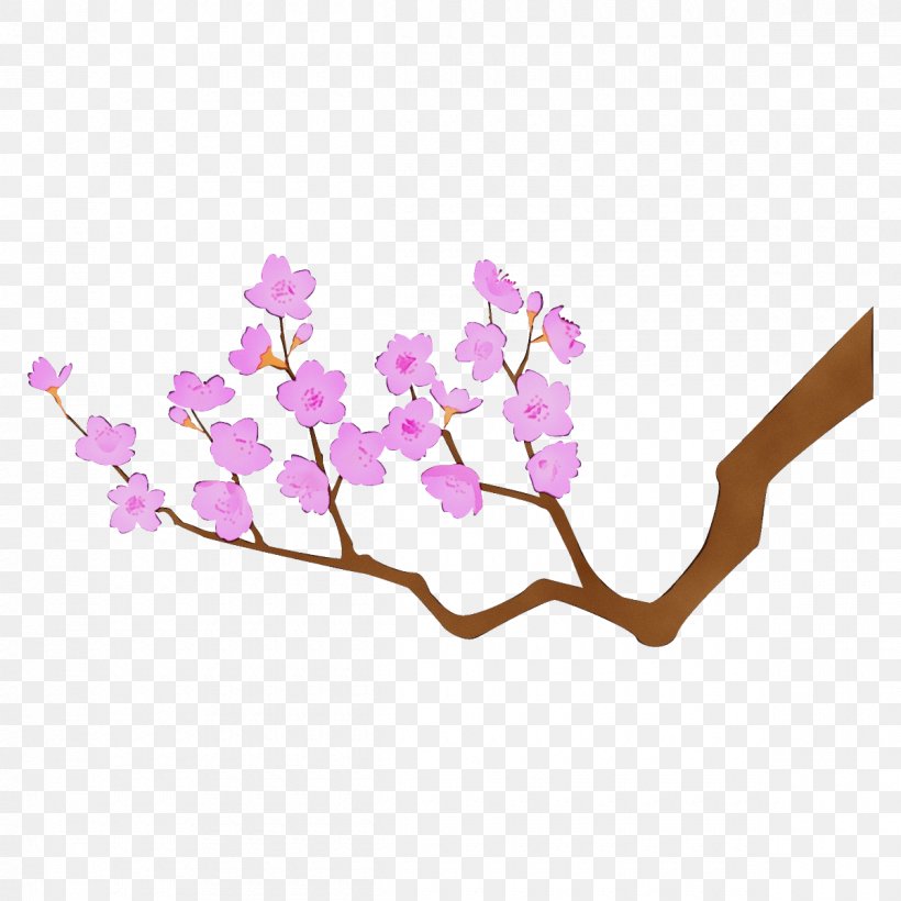 Cherry Blossom, PNG, 1200x1200px, Watercolor, Blossom, Branch, Cherry Blossom, Flower Download Free