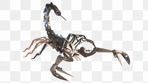 Crab - Crab Age Of Enlightenment Decapoda Sketch PNG
