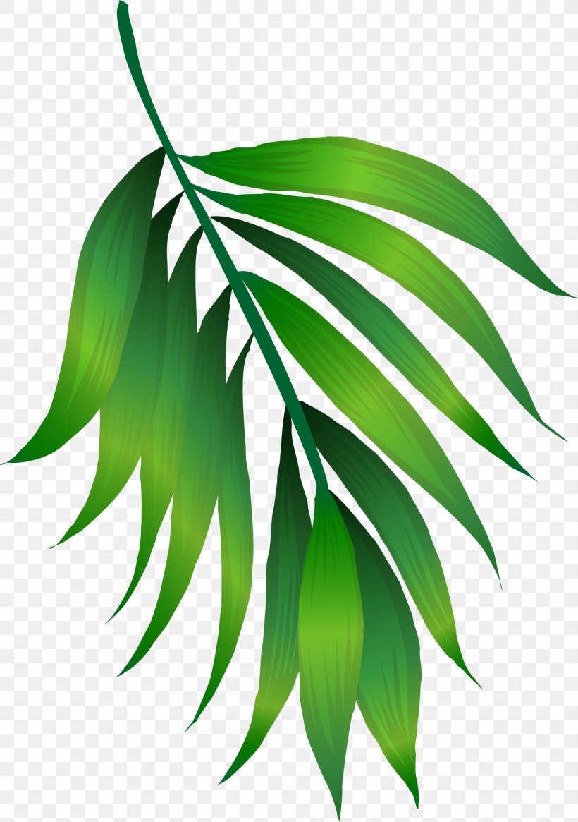 Green Leaf, PNG, 1501x2133px, Green, Branch, Brown, Gratis, Leaf Download Free