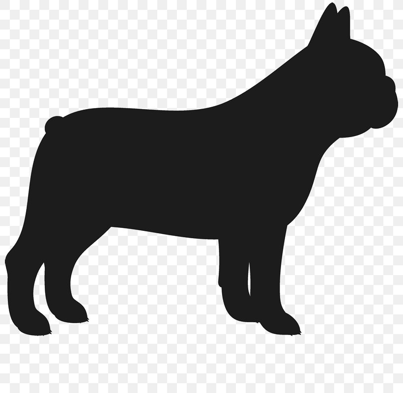 Jack Russell Terrier Norfolk Terrier French Bulldog Bull Terrier Yorkshire Terrier, PNG, 800x800px, Jack Russell Terrier, Airedale Terrier, American Pit Bull Terrier, Black, Black And White Download Free