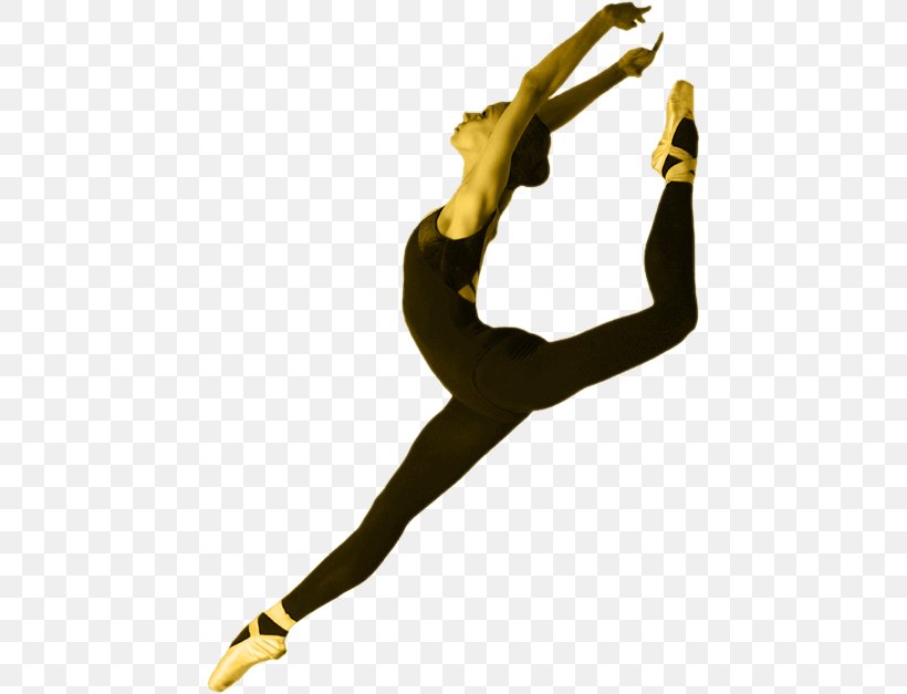 Modern Dance Ballet Dancer Stock Photography, PNG, 446x627px, Modern Dance, Arm, Art, Ballet, Ballet Dancer Download Free