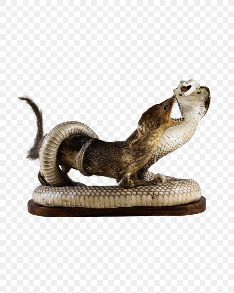 Mongoose Snake Reptile Indian Cobra, PNG, 1000x1250px, Mongoose, Cobra, Figurine, Hair, Indian Cobra Download Free