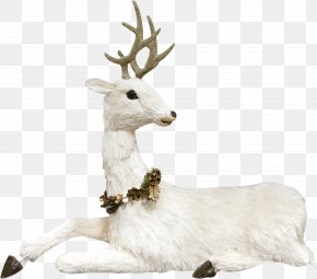White Cute Goat - Reindeer Elk PNG