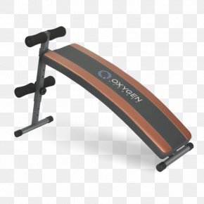 Boar - Sit-up Bodybuilding Physical Fitness Exercise Machine Arc PNG