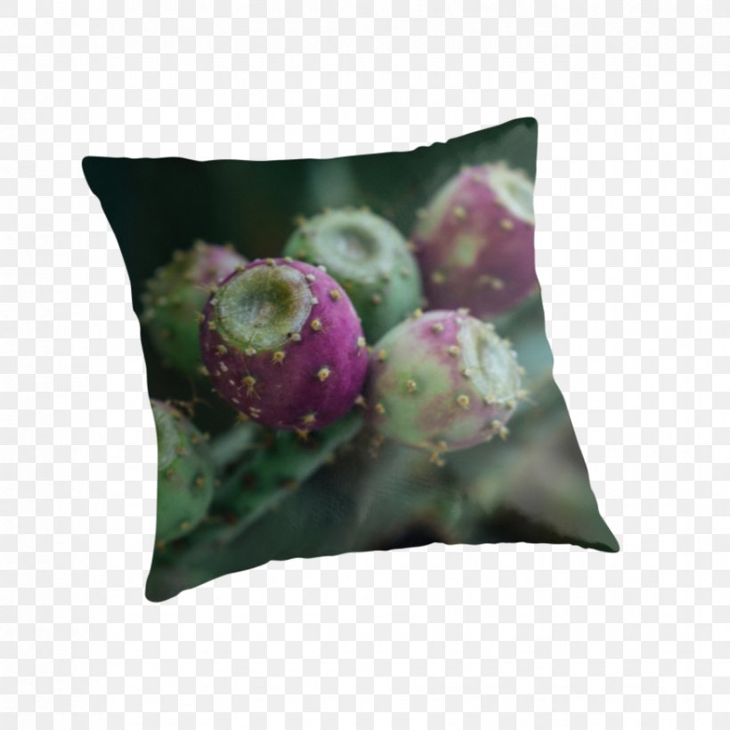 Throw Pillows Cushion Cannabis Bed, PNG, 875x875px, Pillow, Bathroom, Bed, Bed Sheets, Bedding Download Free