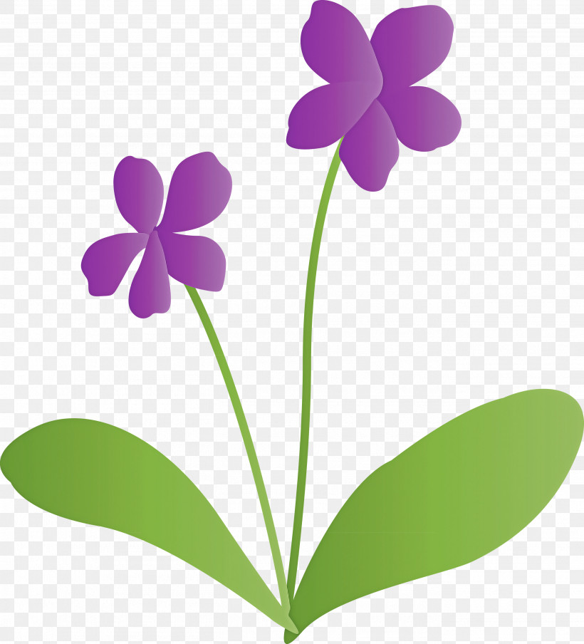 Violet Flower, PNG, 2721x3000px, Violet Flower, Common Blue Violet, Flora, Flower, Herbaceous Plant Download Free
