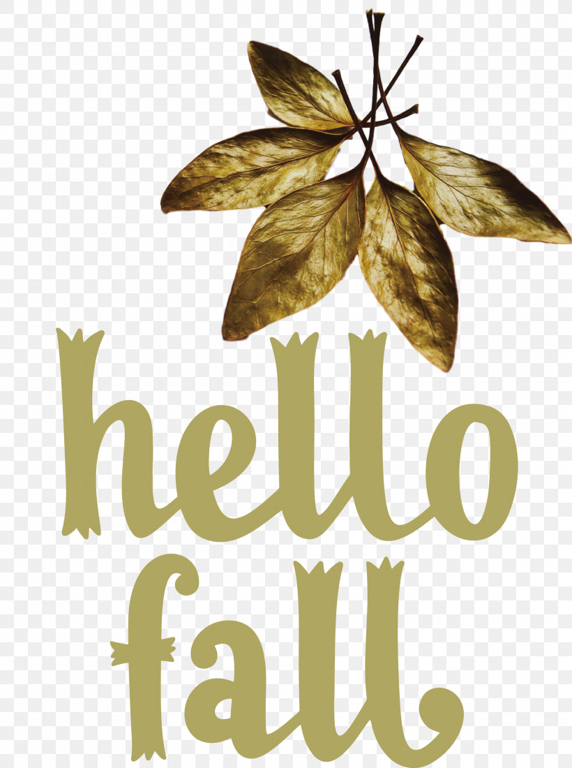 Hello Fall Fall Autumn, PNG, 2236x3000px, Hello Fall, Autumn, Biology, Fall, Flower Download Free