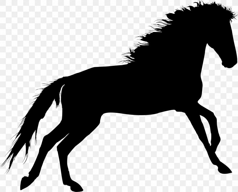Horse Silhouette Pleasure Riding Clip Art, PNG, 2326x1873px, Horse, Black And White, Bridle, Colt, English Riding Download Free