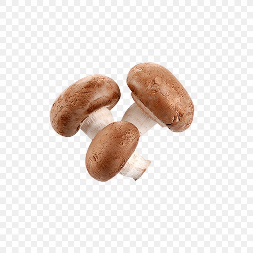 Shiitake Common Mushroom Hen-of-the-wood, PNG, 1500x1500px, Shiitake, Agaricaceae, Common Mushroom, Dill, Edible Mushroom Download Free