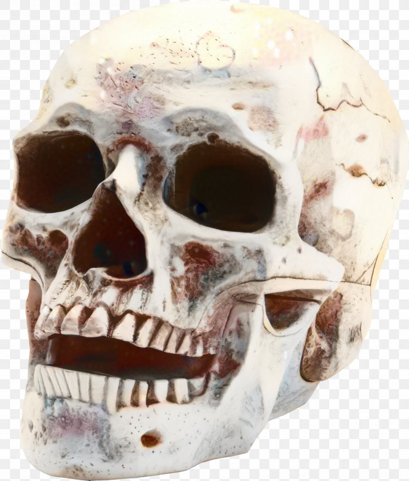 Human Skull Drawing, PNG, 1794x2111px, Skull, Anatomy, Bone, Death, Drawing Download Free