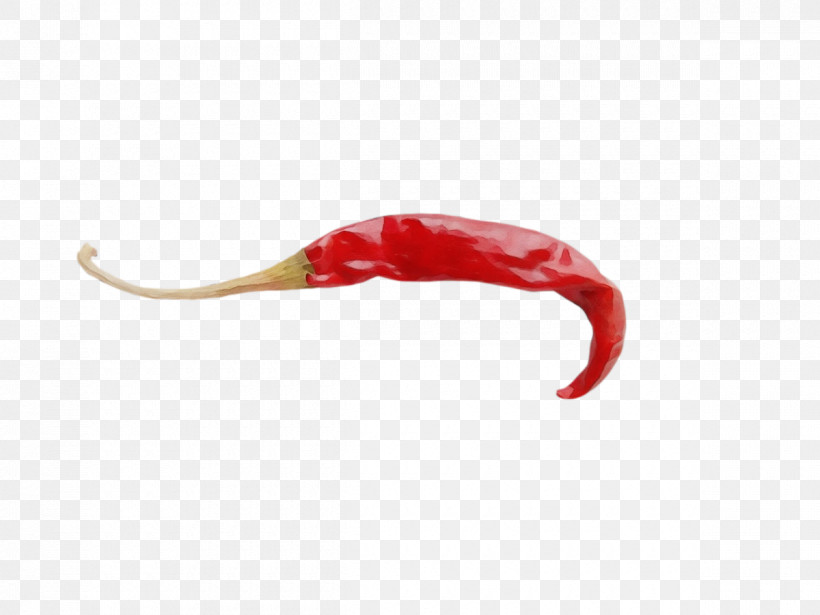 Peppers Peperoncino Cayenne Pepper Worm Bell Pepper, PNG, 1200x900px, Watercolor, Bell Pepper, Cayenne Pepper, Paint, Peperoncino Download Free