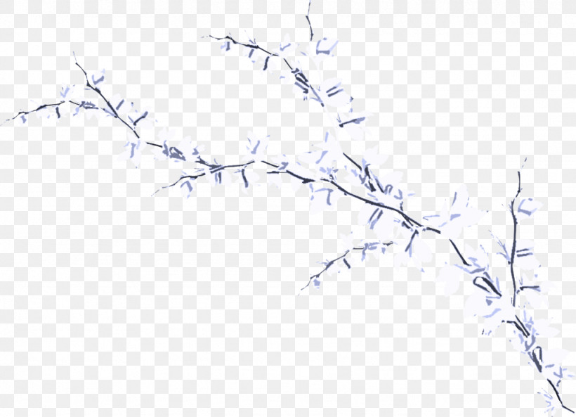 Branch Twig Tree Plant Plant Stem, PNG, 1024x741px, Branch, Plant, Plant Stem, Tree, Twig Download Free