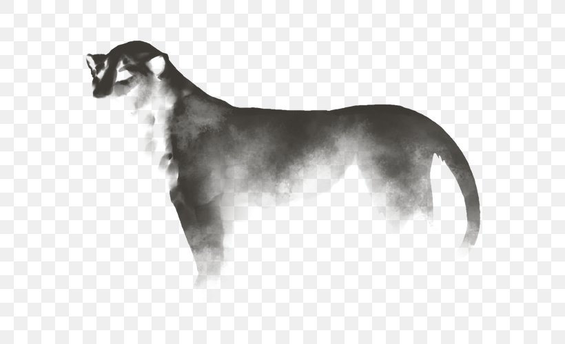 Dog Breed Cat Puppy Snout, PNG, 640x500px, Dog Breed, Black And White, Black Cat, Breed, Canidae Download Free