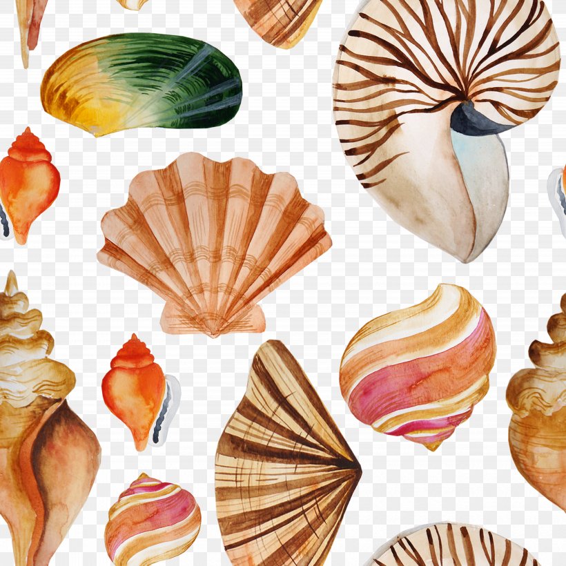 Seashell Textile Tayrona Store, PNG, 5000x5000px, Seashell, Dishware, Drawing, Gift, Gratis Download Free