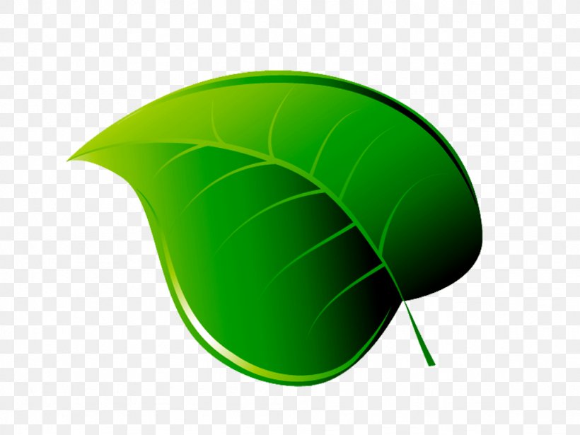 Folha, PNG, 1024x768px, Folha De Spaulo, Drawing, Green, Leaf, Logo Download Free