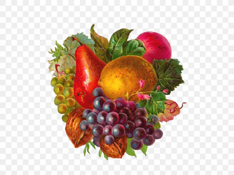 Fruit Apple Clip Art Grape, PNG, 866x650px, Fruit, Accessory Fruit, Apple, Berry, Flower Download Free